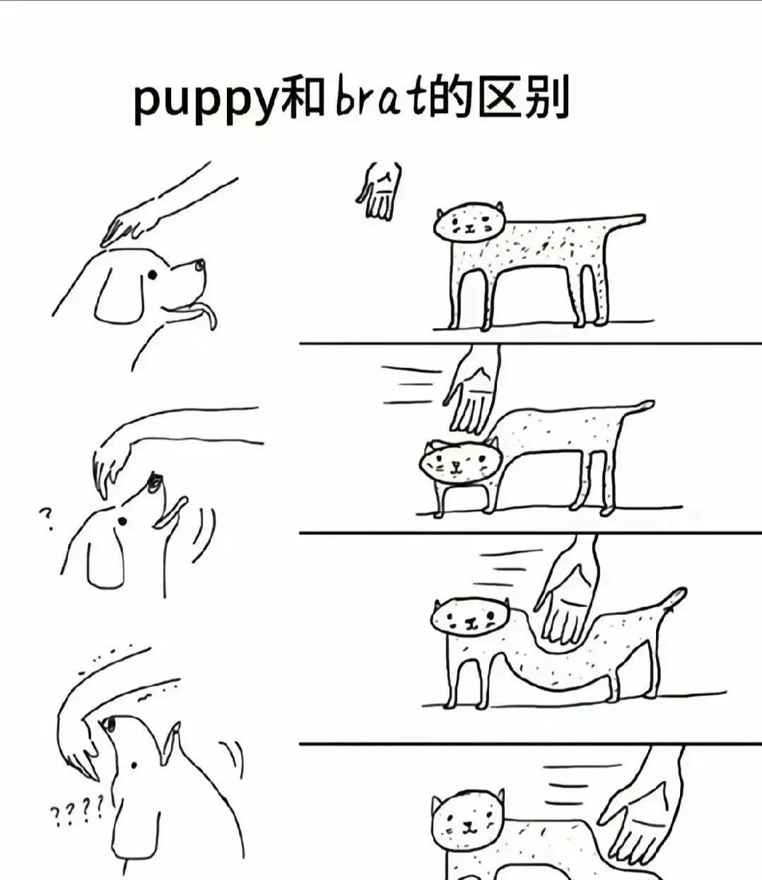 【西檬之家】K8是什么？字母圈猫系角色全解析