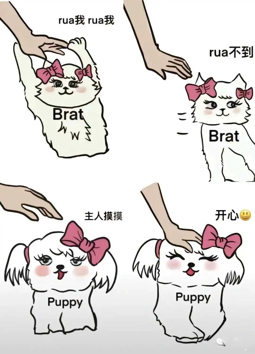 SM亚文化 - 2023_12_05_21_27_IMG_9363
