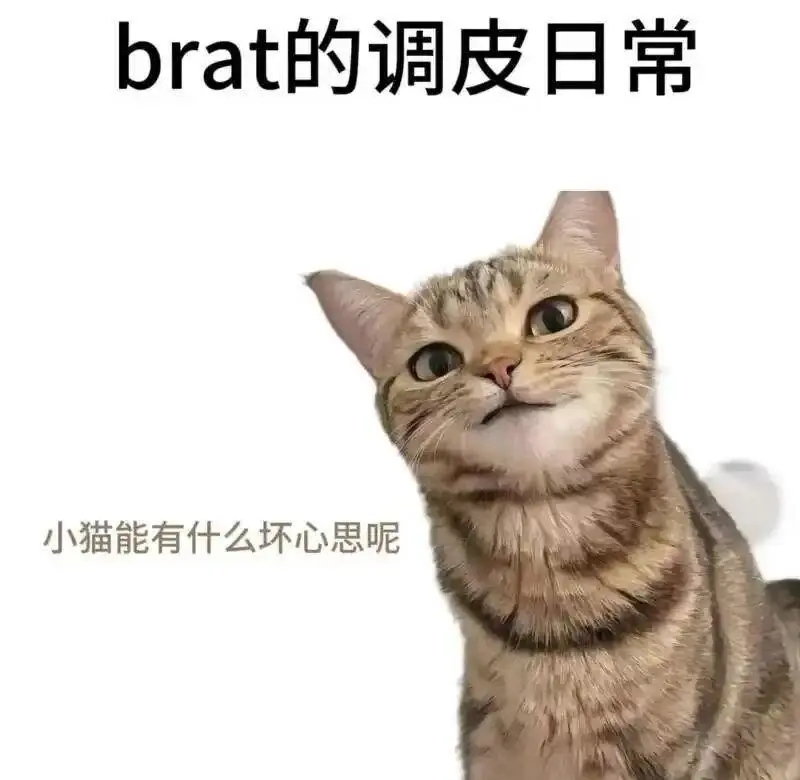 tickle - 微信图片_20251203212836_109_19