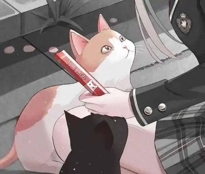 【西檬之家】S属性是什么意思？解析字母圈中的角色与关系