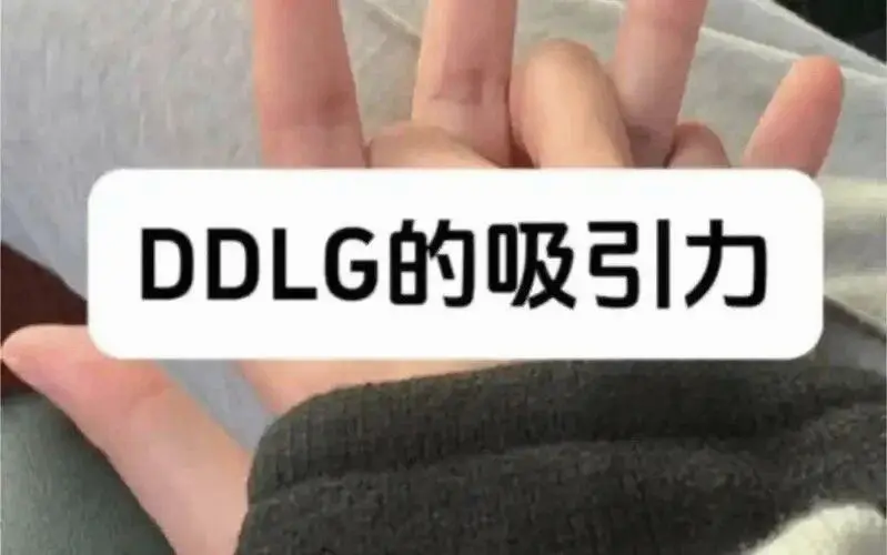 DS关系 - 2025-11-13 192158