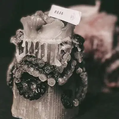 西檬之家-K9犬系：字母圈新人角色解析与SSC安全指南